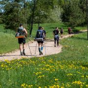 Attēls rakstam Zebrus Endurance 2026 Recap